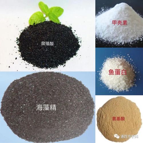 �_�֣���ֳ�������������ך��ء��~���������������������ò�һ����������