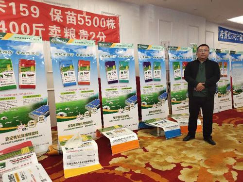 ������ӆ؛����Ƭ